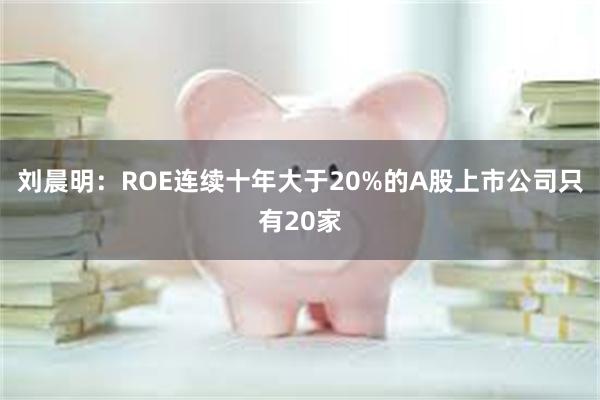 刘晨明：ROE连续十年大于20%的A股上市公司只有20家