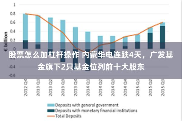 股票怎么加杠杆操作 内蒙华电连跌4天，广发基金旗下2只基金位列前十大股东