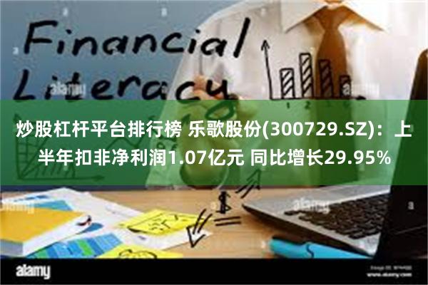 炒股杠杆平台排行榜 乐歌股份(300729.SZ)：上半年扣非净利润1.07亿元 同比增长29.95%