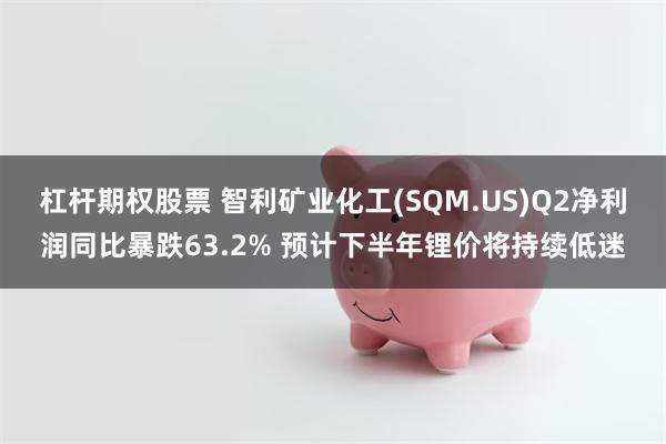 杠杆期权股票 智利矿业化工(SQM.US)Q2净利润同比暴跌63.2% 预计下半年锂价将持续低迷