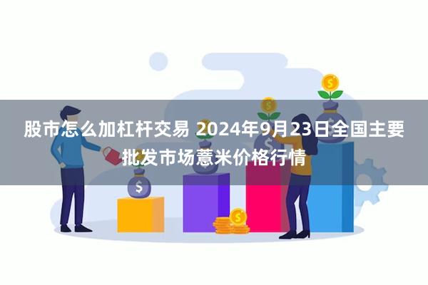 股市怎么加杠杆交易 2024年9月23日全国主要批发市场薏米价格行情